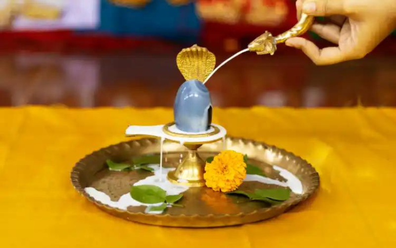 Rudrabhishek puja trimbakeswar