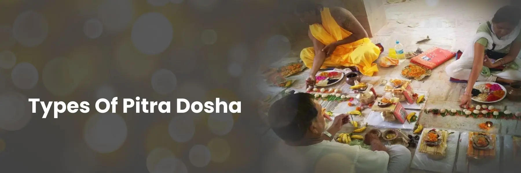 types of pitra dosh puja<br />
